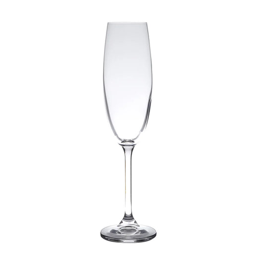 CJ 6 TACAS CRISTAL ECOLOGICO (LIVRE DE CHUMBO) P/CHAMPAGNE GASTRO/COLIBRI 220ml
