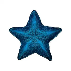 50128 PETISQUEIRA ACRILICO FORMATO ESTRELA DO MAR