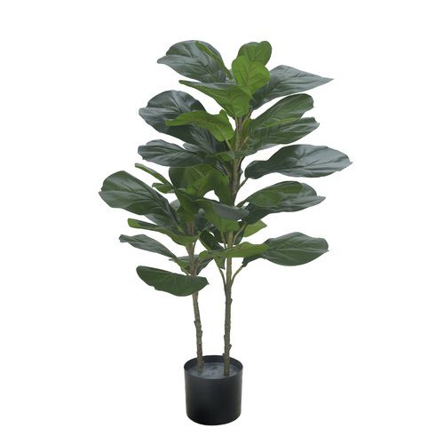 A.FICUS LYRATA REAL TOQUE C/POTE X165 (VERDE) 1,8m (FLORARTE) Vol. 1